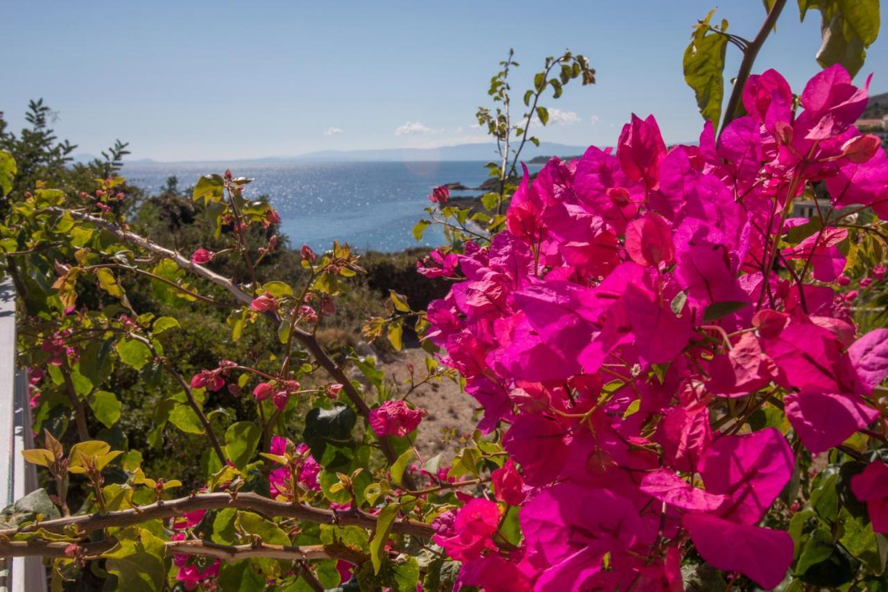 Skala  Sea View Villa 2 מראה חיצוני תמונה